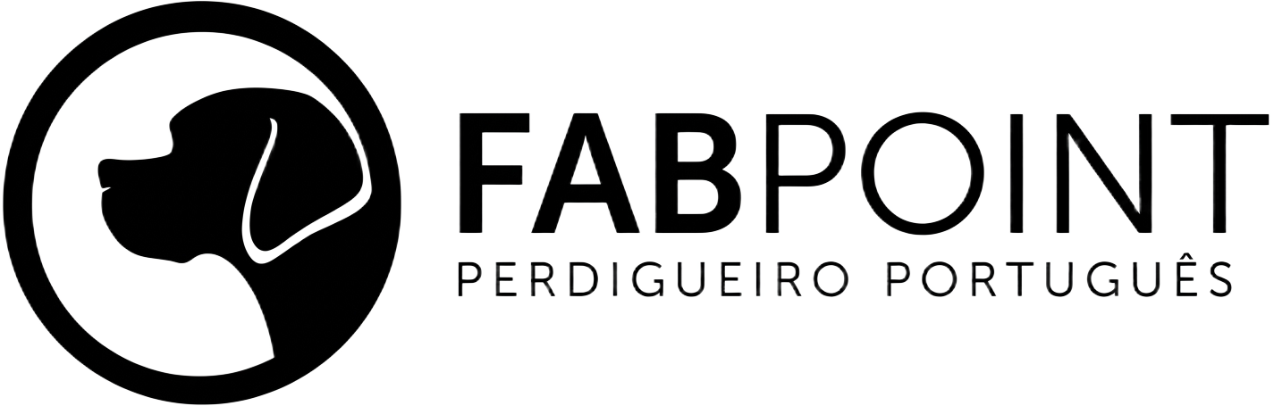 FabPoint